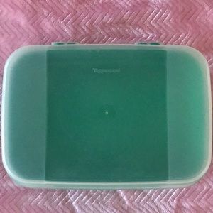 Tupperware multipurpose container